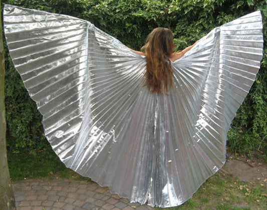 Isis Wings in zilver van goede kwaliteit organza