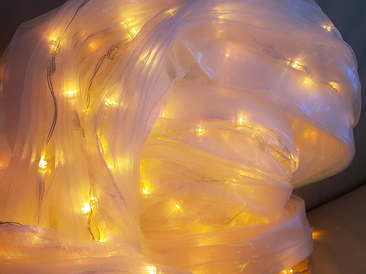 Isis Wings organza met gouden led lights