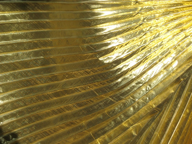 Isis wings  organza lamee in goude kleur