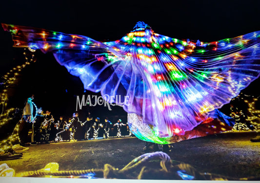 Isis Wings organza met led lights in verschillende kleuren